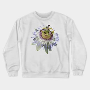 Passion Flower Close Up Crewneck Sweatshirt